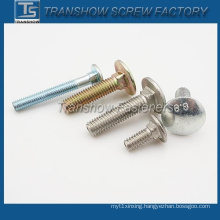 China Ts Manufacture High Quality Carriage Bolt
